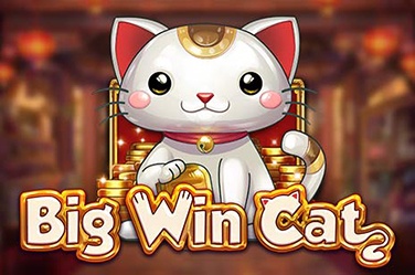 Big Win Cat