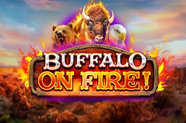 Buffalo on Fire!