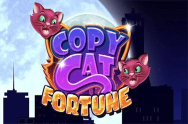 Copy Cat Fortune