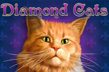 Diamond Cats