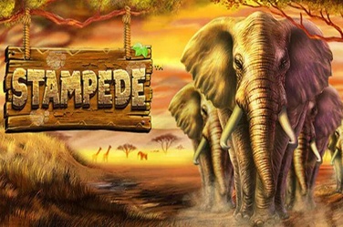 Stampede