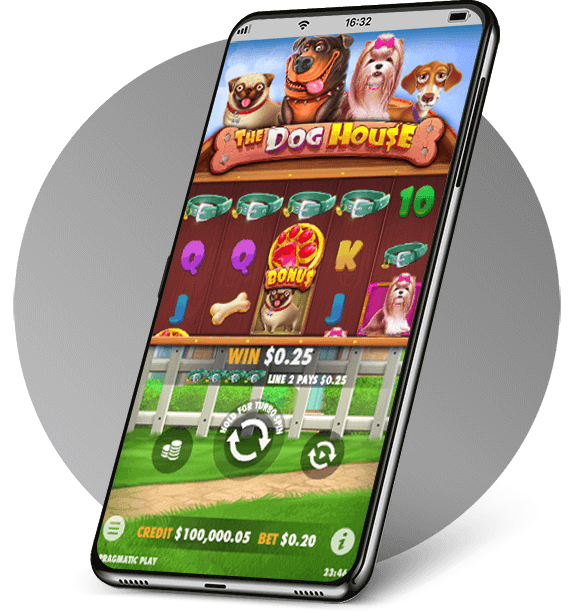 The Dog House on Desktop Vs Mobile