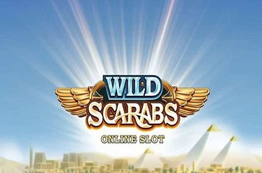 Wild Scarabs