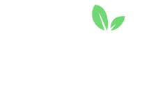 Fruity Casa Casino