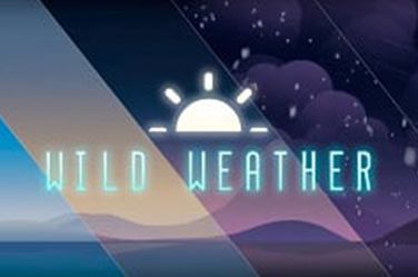 Wild Weather