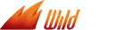 WildSlots Casino